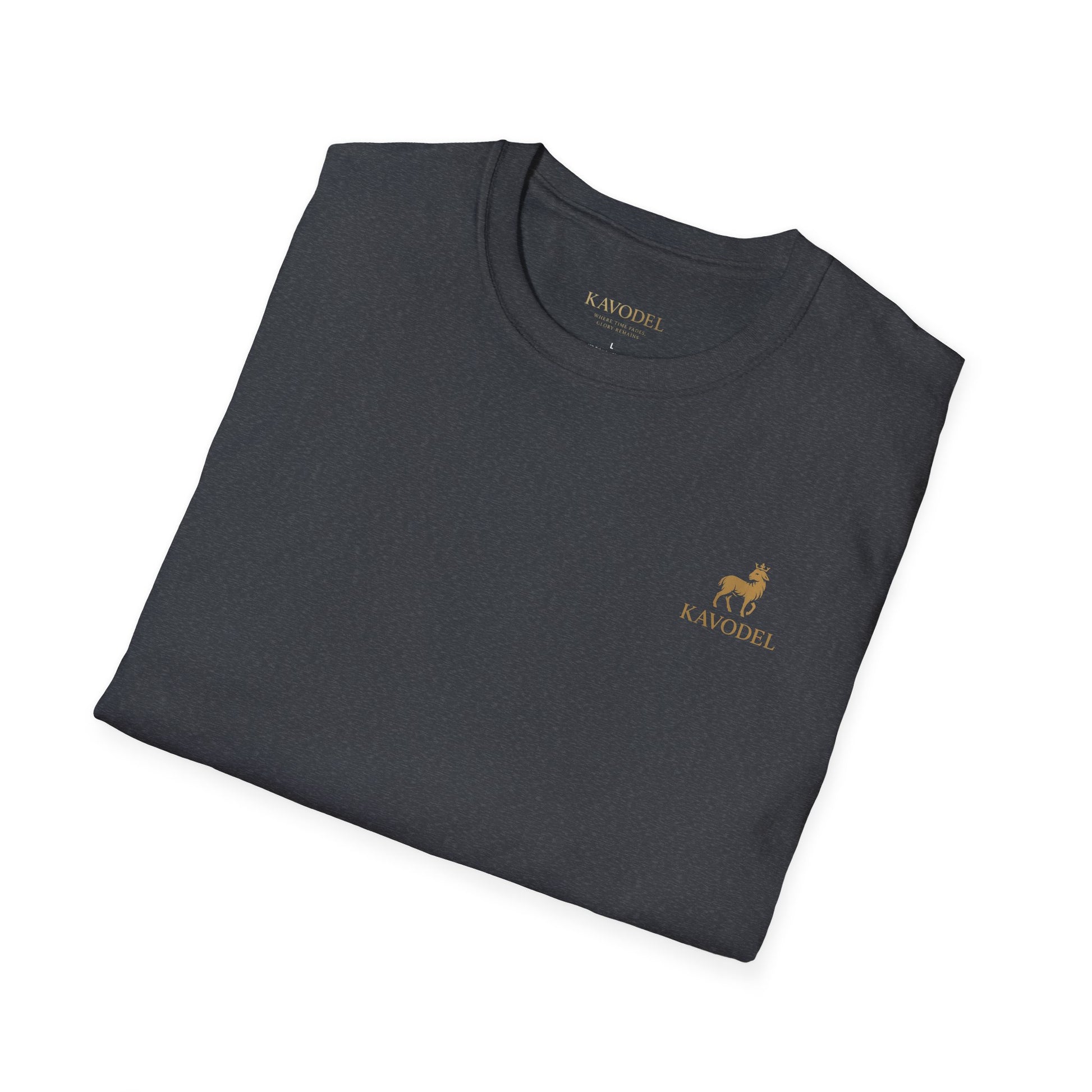 “We Walk By Faith” Tee